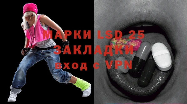 ПСИЛОЦИБИНОВЫЕ ГРИБЫ Алзамай
