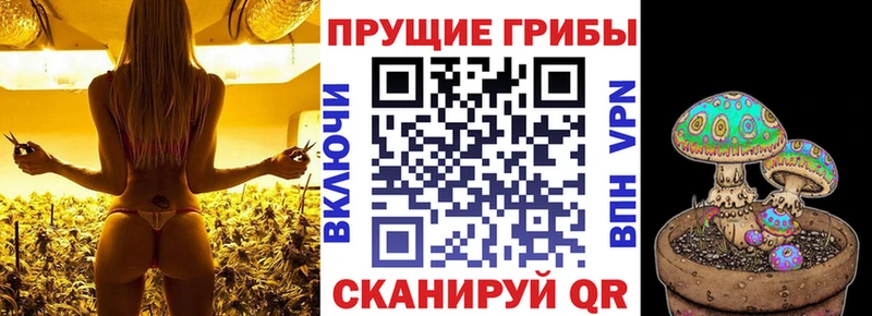 Псилоцибиновые грибы мухоморы  купить наркотики сайты  Кяхта 